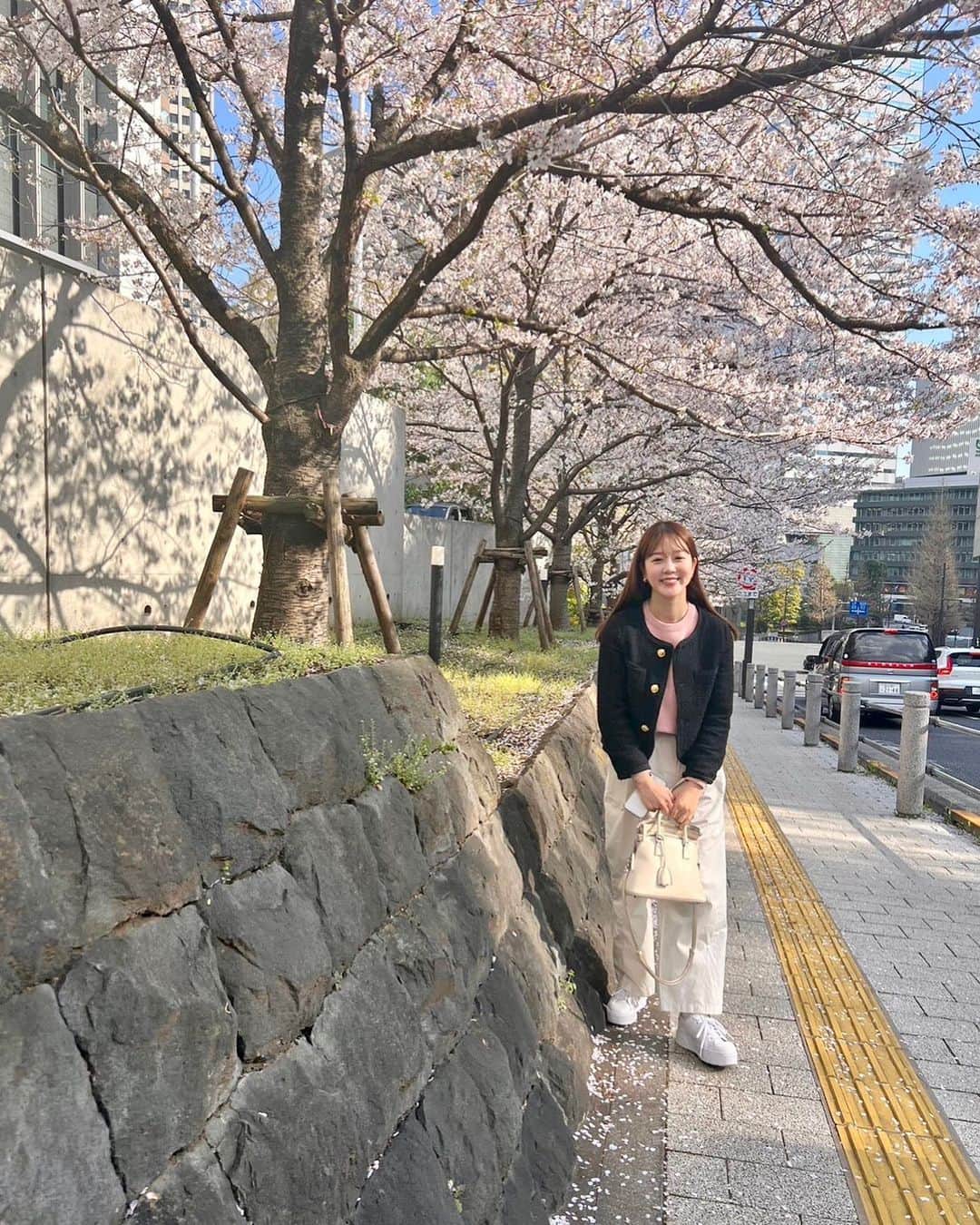石井詩織のインスタグラム：「今年は桜を愛でることなく散ってしまうかなと思ってたので、通りがかっただけでも嬉しかった🌸桜の下にいるのは団子に見えるけれど、私ですので。念のため💁‍♀️ #🍡」