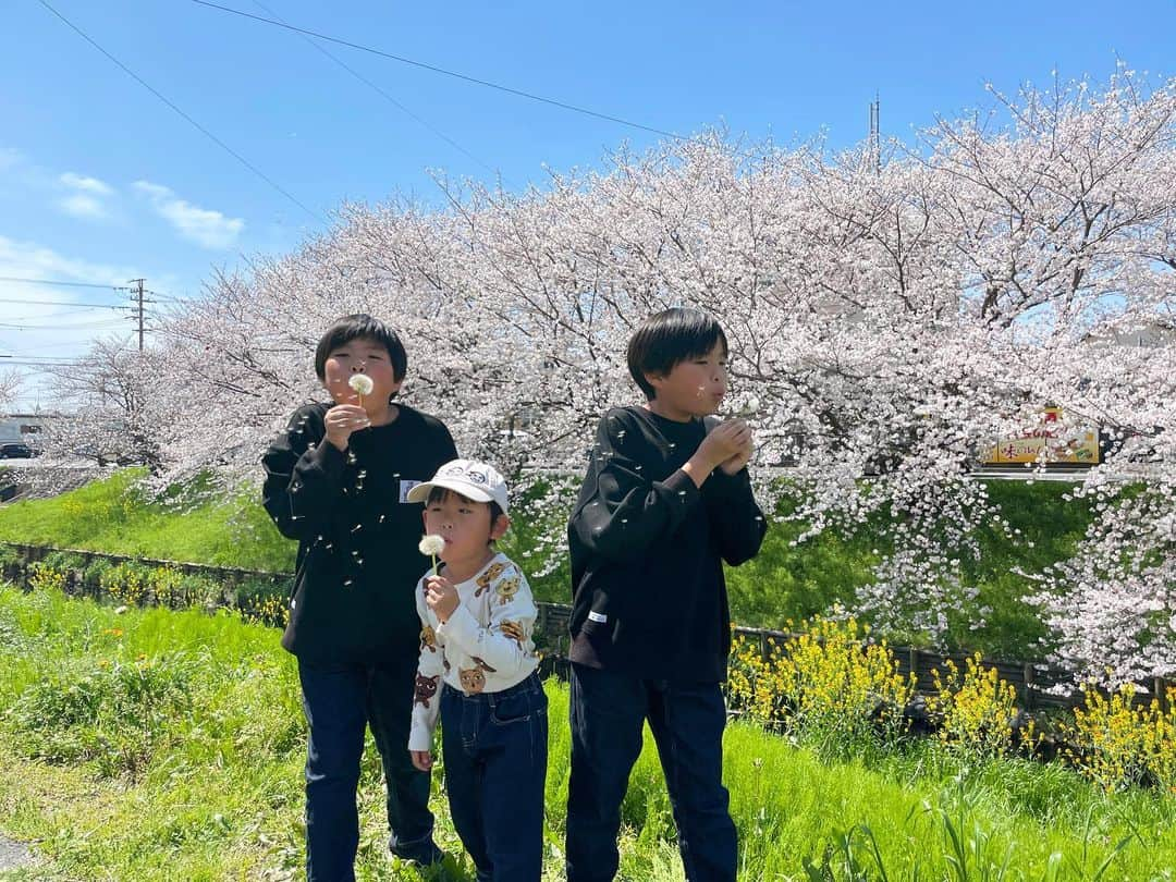 ᴋᴀɴᴀᴋöのインスタグラム：「弾丸で 浜松へ帰省🚅✨ 桜が満開で キレイだった〜🌸🌼🌸🌼」