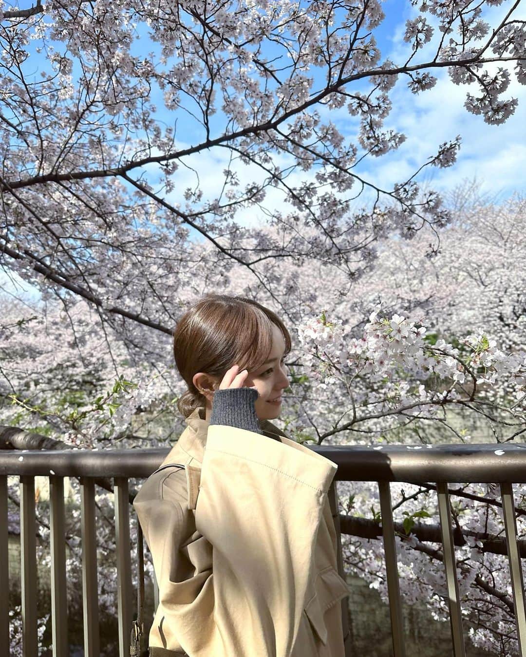 丸林広奈さんのインスタグラム写真 - (丸林広奈Instagram)「満開🌸🌸🌸」3月29日 21時34分 - hironamarubayashi