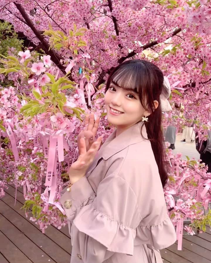 のインスタグラム：「⁡ ⁡ ⁡ 桜に埋もれるもえにゃ(ˆ꜆ . ̫ . ).🌸🤍 ⁡ ⁡ ⁡  #miao#いいね返し#f4f#followme#偶像#03 #Japanese#Chinese#ハーフ#Japan#自撮り#JD#アイドル#神社#桜#桜神宮#東京#桜新町#Tokyo#かわず桜#さくら#河津桜#リール動画 #リール」