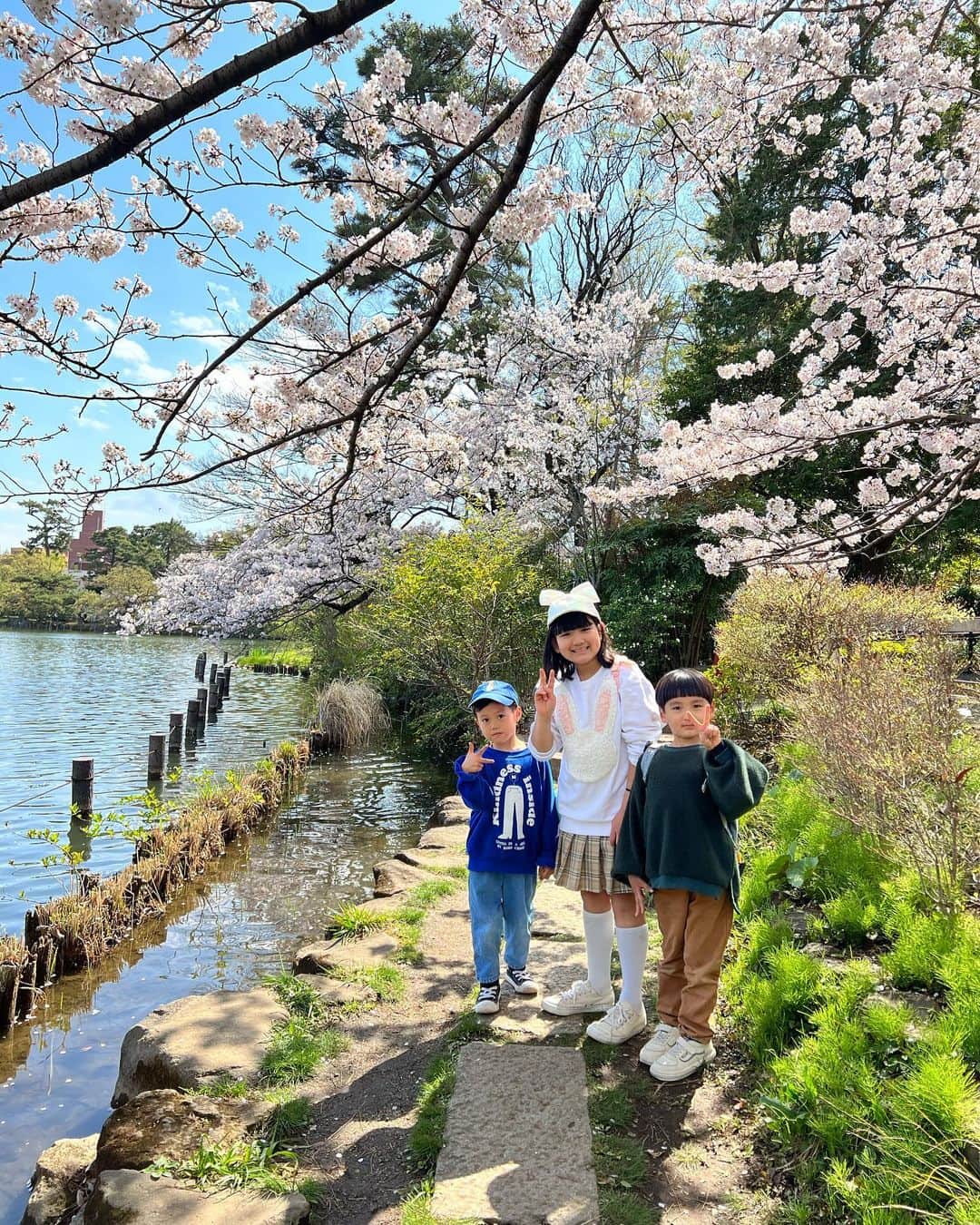 山口尚美のインスタグラム：「今日は毎年恒例片寄家とお花見でした🌸 最高の天気と桜に恵まれ幸せな良い日でした🌈☀️💕 いつも家族でいっぱい楽しいお喋り&遊んでくださりありがとうございます👨‍👩‍👦❣️✨ @chocolatandakito」