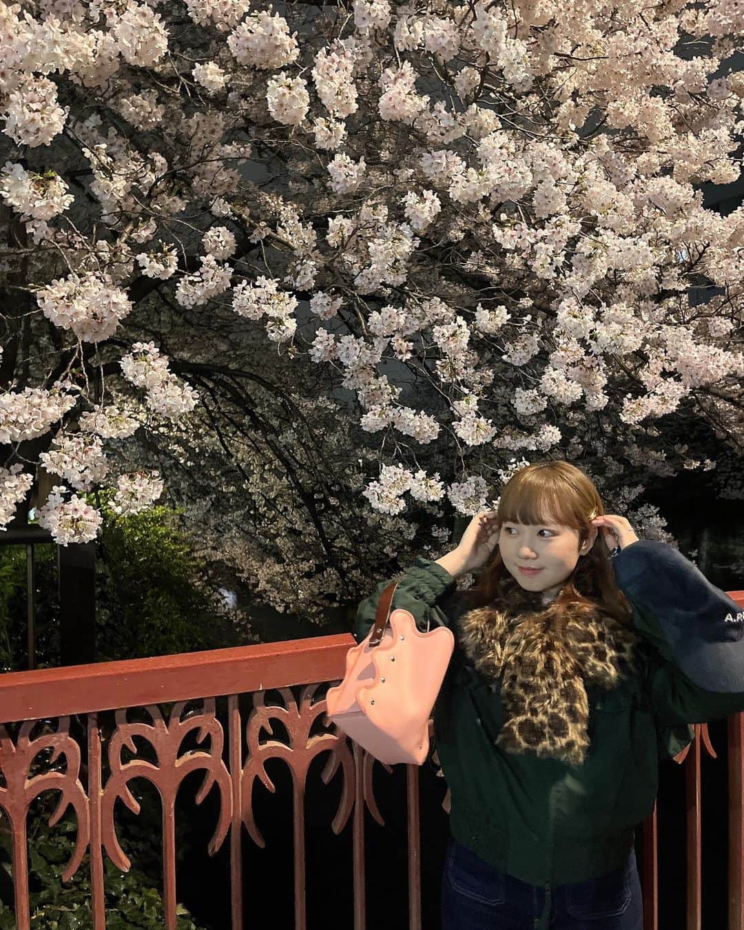 のインスタグラム：「今年もきれいで嬉しい🤝🏻 これからもずっと咲いてほしいよ！」