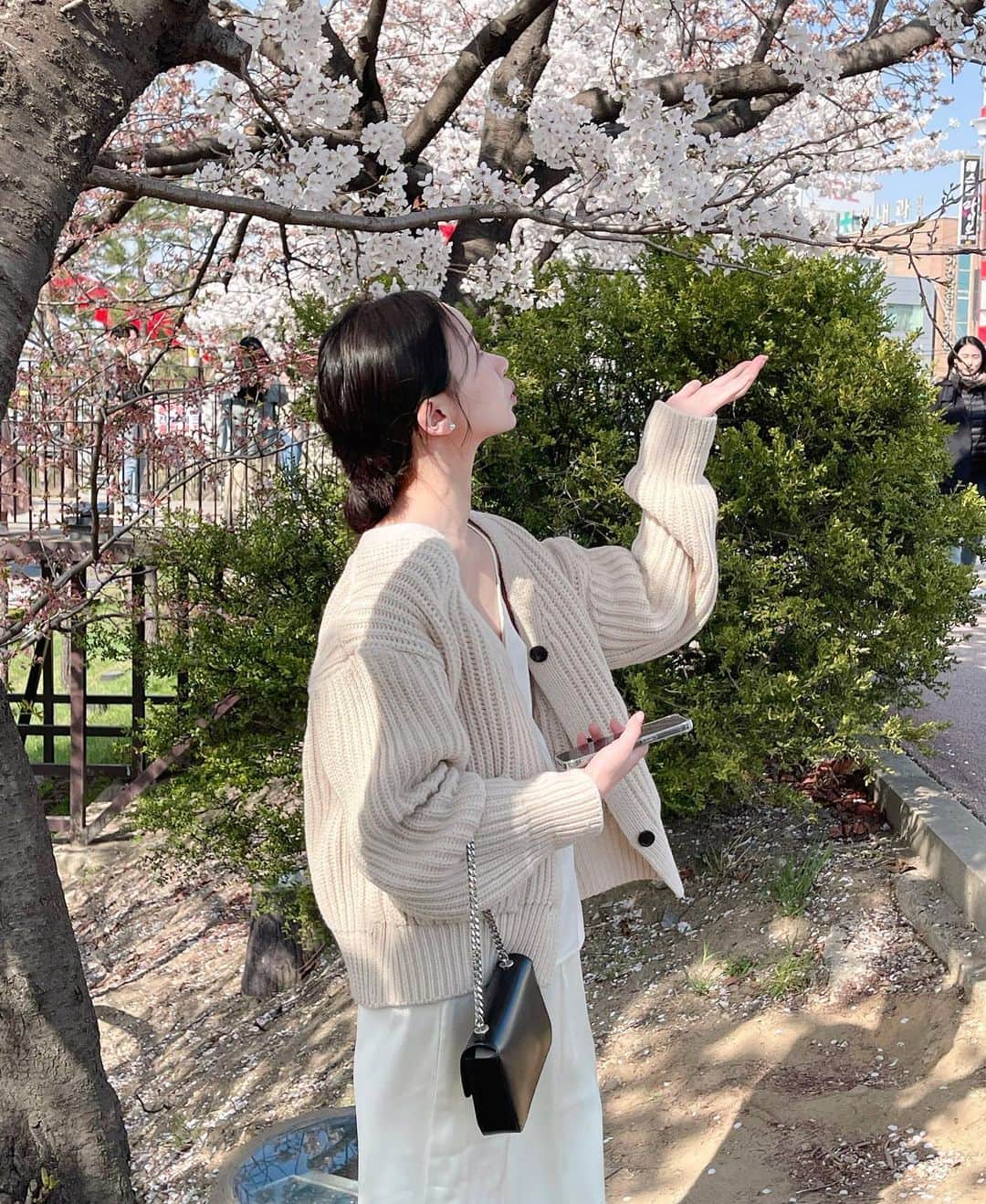シン・ジインさんのインスタグラム写真 - (シン・ジインInstagram)「안 올리려다 벚꽃이 넘 예뻐서 🌼🌼🌼」3月29日 21時56分 - sinji_in
