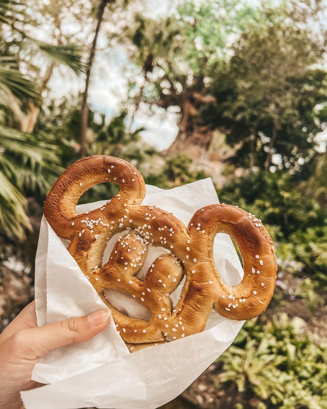 Walt Disney Worldのインスタグラム：「When you get a craving for a treat, are you #teamsavory 🥨 or #teamsweet 🍦? Let us know in the comments below ⬇️ (📸: @lady.dlp & @magicbymorgs)」