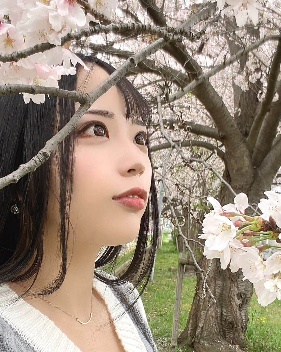 のインスタグラム：「ソメイヨシノ🌸 皆は今年お花見しましたか？  #ライブ配信#ライバー#八重歯#宅建士#宅建#宅地建物取引士#不動産営業#イギリス留学#バセドウ病#吃音症#過敏性腸症候群#🧢なつみ👻🍊#ファッション誌モデル#着物モデル#お花見#gravesdisease#stuttering」