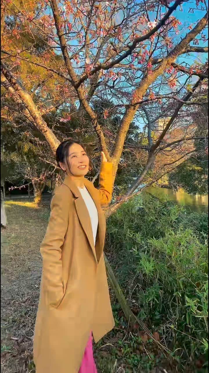 前田友香のインスタグラム：「#ロケーション最高  #古き良き日本の風景 #御花 #松濤園 #柳川 #庭園 #和 #japan」