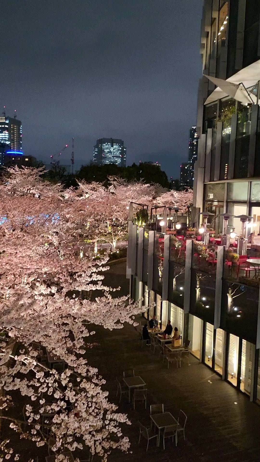 インゴのインスタグラム