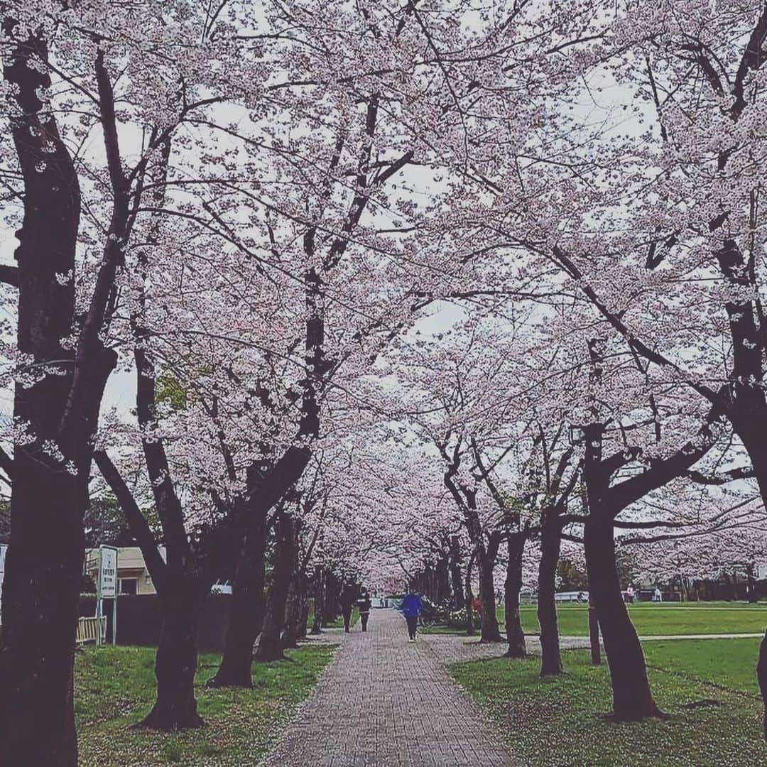 中原歩さんのインスタグラム写真 - (中原歩Instagram)「* 春休み（私の笑）🌸 たくさんお散歩してお花見して、クタクタになるまで遊んだ実家帰省。 子供の頃桜が咲くと来ていた公園に30年ぶり？！くらいに訪れ、懐かしさで胸がいっぱいになり、色んな思いを巡らせたりして本当に充実した帰省でした✨  夕方1人でお風呂にゆっくり入ってご飯出てきて寝床が用意されてて有り難すぎて泣けちゃうよ🥺 子供達もたくさん遊んでもらって教わって時に叱られたりしながら普段の生活の中で色々学んだだろうな。  皆さん一年お疲れ様でした☺️ 体も心も揺らぎやすい時期なので、忙しい中でも少しでも休息を意識してくださいね🌸 * * #母ちゃんの春休み終了 #お花見 #実家の有り難みが身に染みるね #お疲れ様です」3月29日 22時14分 - nakahara_ayumi