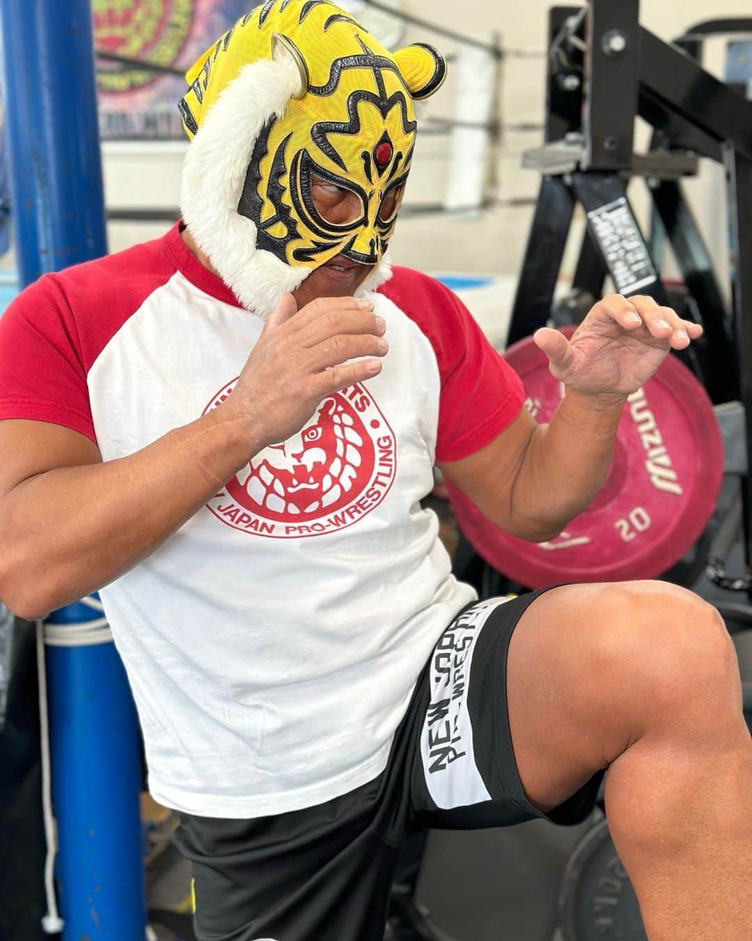 タイガーマスクさんのインスタグラム写真 - (タイガーマスクInstagram)「時々は鏡の前でチェック。 #タイガーマスク #tigermask #njpw #蹴り #キック #ディフェンス」3月29日 22時25分 - tigermask.njpw_official