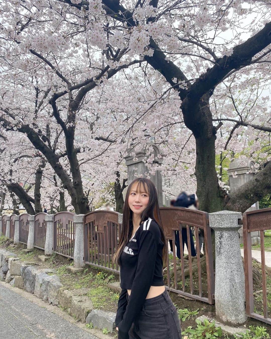 杉山優華のインスタグラム：「🌸🌸🌸」