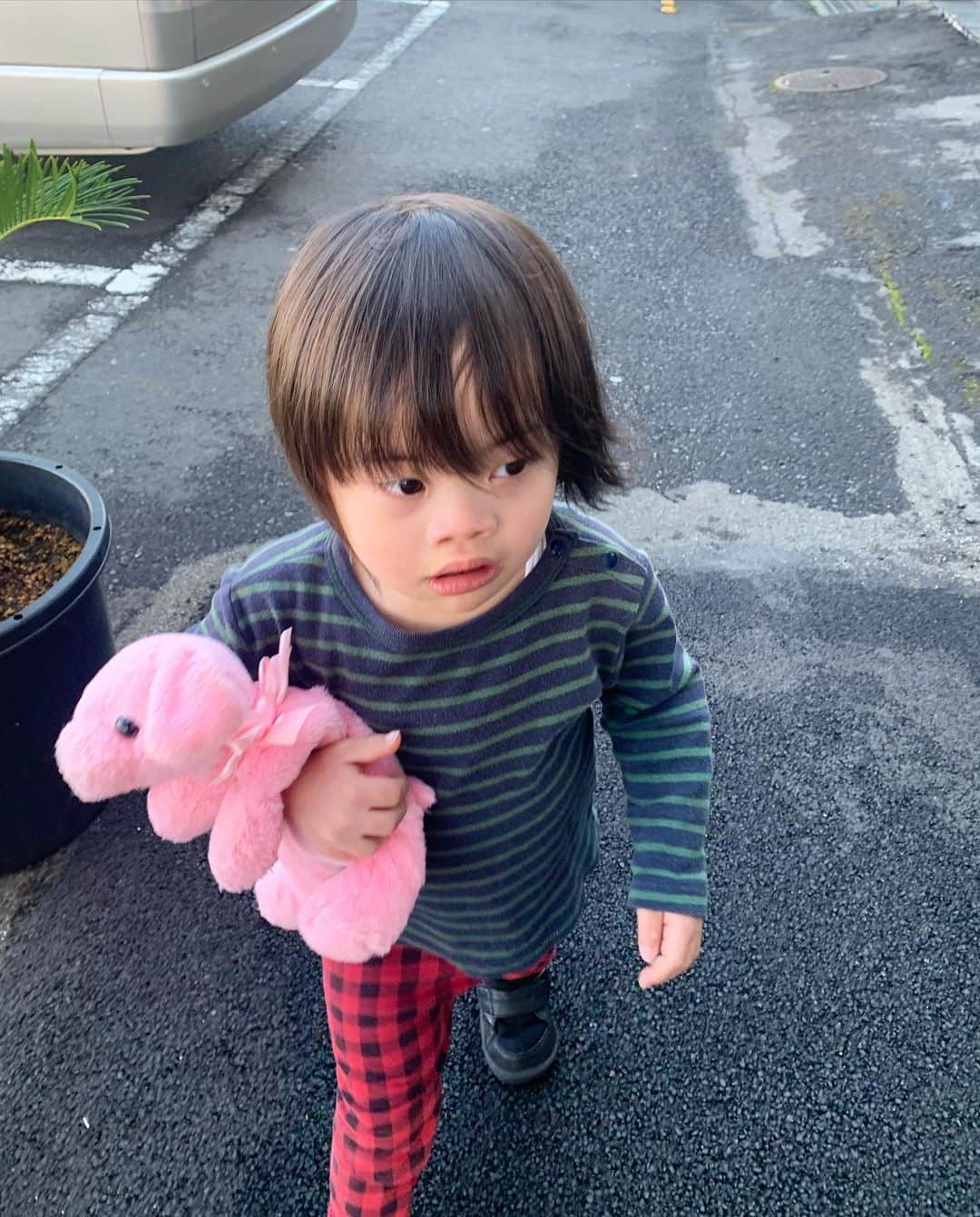 桜田聖子さんのインスタグラム写真 - (桜田聖子Instagram)「ヌイグルミLoveな輝馬🧸  動画は温泉のあるスパに行った時、ママがUFOキャッチャーで取ったクマさんを、どうしても抱っこしたくて、ネェネに頑として渡さないテルマ😅  怒ってるでしょ〜⁉️そう！テルマ、怒るんです😤外では絶対に見せない顔です😆  こうやって、いつも姉弟喧嘩が勃発する😓  怒るテルマに、ネェネがよく言うフレーズ『ダウン症候群は天使だから、怒らないんだよ‼️』笑  そして、写真のピンクのワンちゃんも、ネェネのなんだけど、僕の物と言わんばかりに、いつも連れ歩く🐶  女子やね😆  ヌイグルミを持って歩くテルマの姿、めちゃくちゃ可愛いんだけどね💕笑  #downsyndrome #specialneeds #trisomy21 #ダウン症 #ダウン症候群 #トリソミー21 #4歳1ヶ月 #成長記録 #生まれてきてくれてありがとう  #心室中隔欠損症  #男の子ママ  #男の子 #boy #ダウン症ボーイ #trisomy21boy」3月29日 14時07分 - seikosakurada