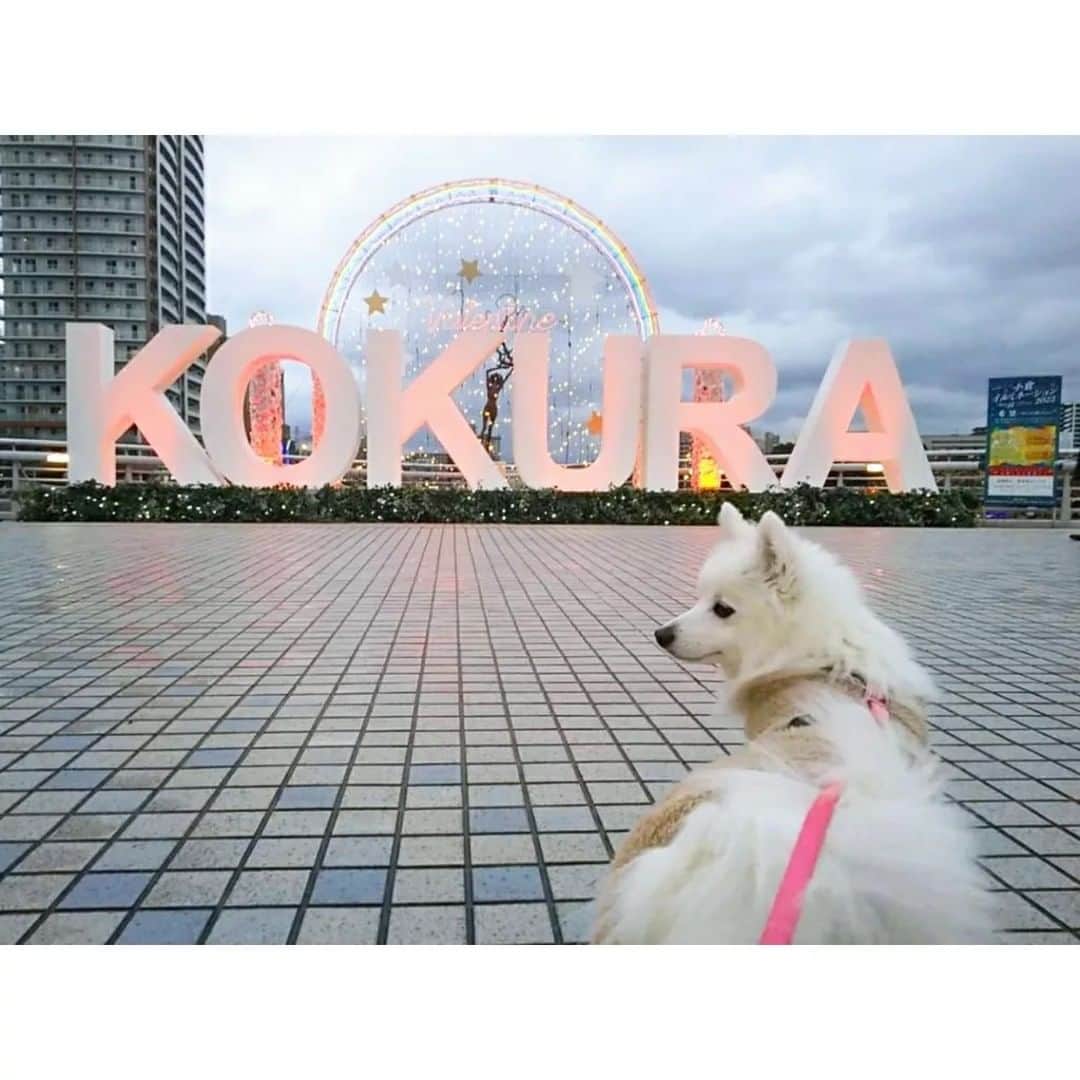 小倉イルミネーションのインスタグラム