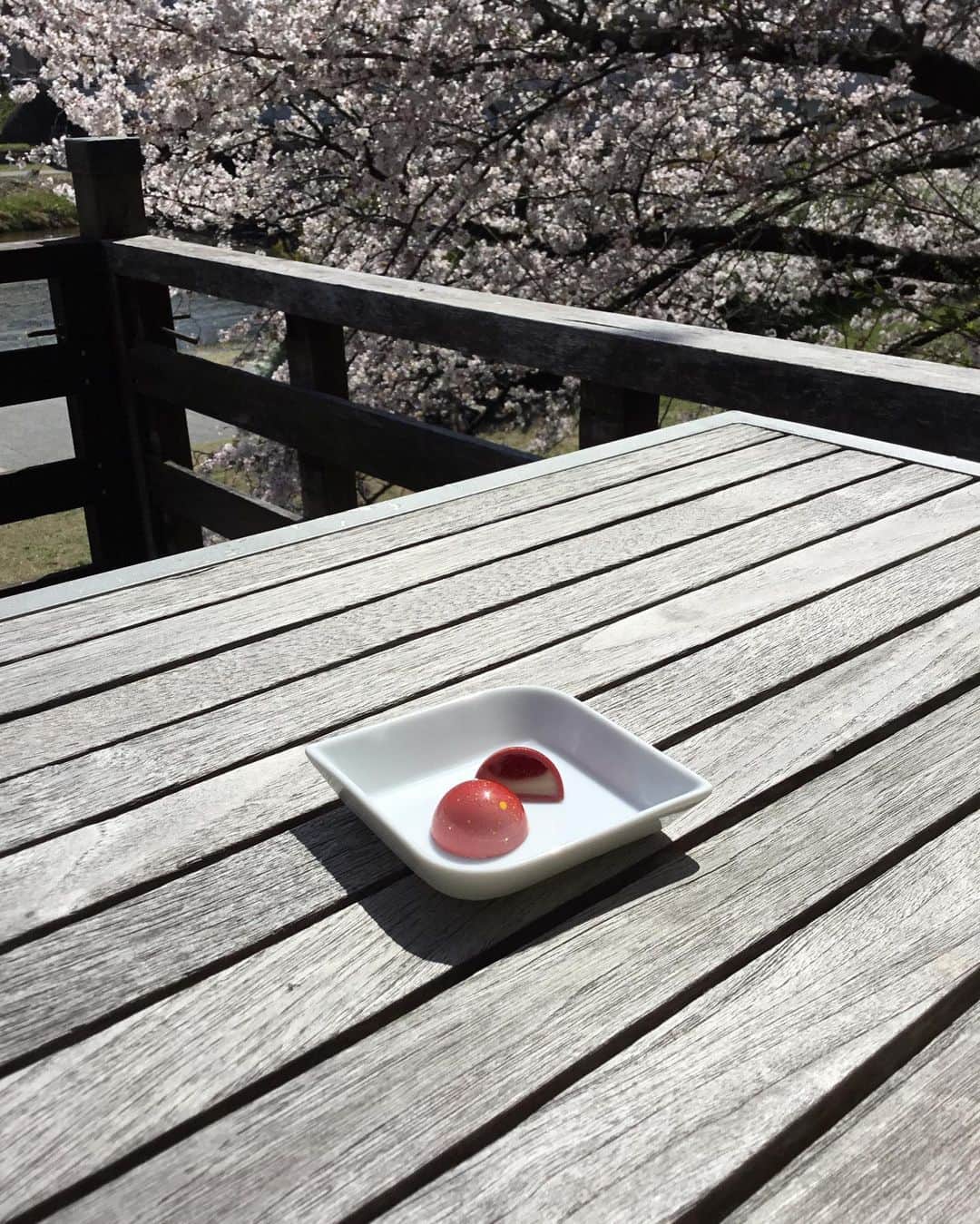 Salon de Royal Kyotoさんのインスタグラム写真 - (Salon de Royal KyotoInstagram)「こんにちは🌞 サロンドロワイヤル京都でございます。 本日は天気も良く、桜が満開です🌸  本日は月替わりボンボン『さくらベリー』のご紹介致します。 甘酸っぱいベリーのジュレと桜ガナッシュの2層になっておりまっす。 この季節にぴったりなチョコレートになります。  皆様のご来店を心よりお待ちしております。 ・ ・ #サロンドロワイヤル京都店 #salonderoyalkyoto#サロンドロワイヤル京都本店#サロンドロワイヤル京都#サロンドロワイヤル#salonderoyal#日本#japan#京都#kyoto#京都スイーツ#ボンボンショコラ #チョコレート #チョコ #ショコラ #chocolate #chocolat #chocolatier#salonderoyal #valentine #バレンタイン #京都カフェ」3月29日 14時26分 - salon_de_royal_kyoto