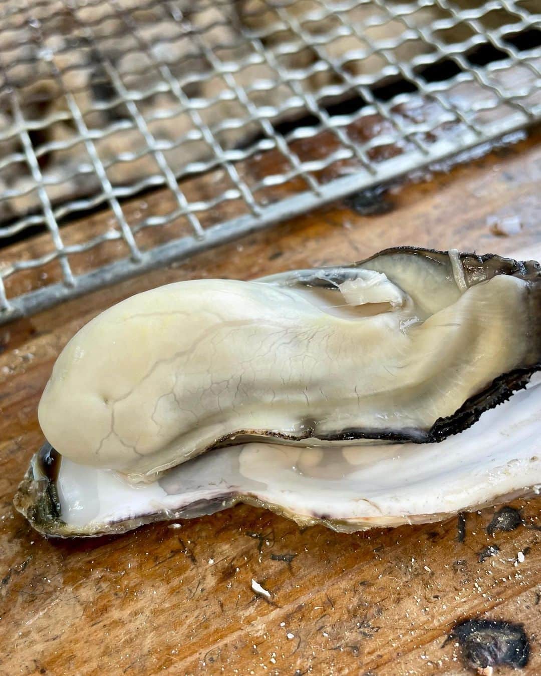 武内裕之さんのインスタグラム写真 - (武内裕之Instagram)「The last oyster of this season 🦪 #oysters #japanesefood #japantravel #糸島 #fukuoka #fukuokafoodie #牡蠣」3月29日 14時19分 - takechanneeel