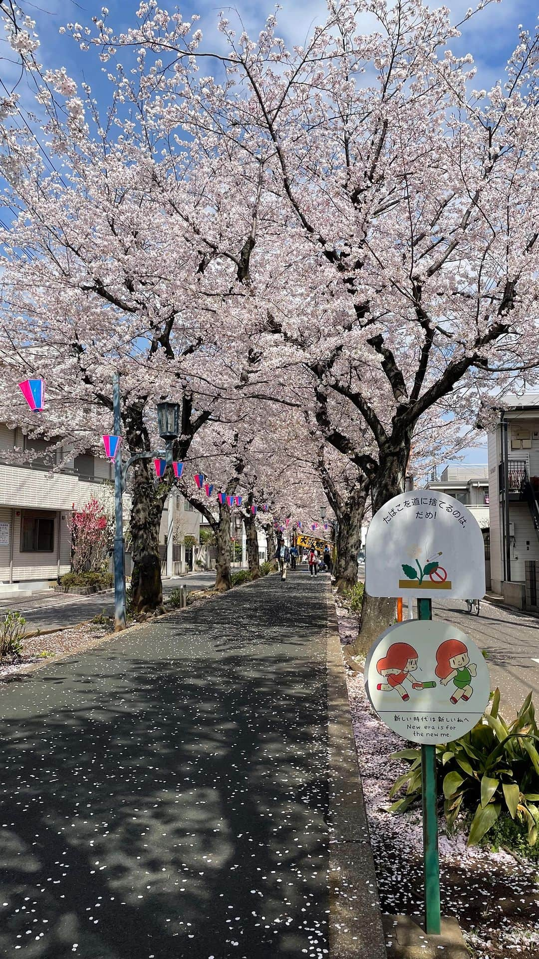 Yukaのインスタグラム：「桜の季節🌸 連日の雨で、やっと今日晴れたから 朝ママチャリでお花見🚲  #sakura#spring#sakurablossom#blooming#blossom#sakurablooming#桜#桜スポット#お花見#ママチャリ#電動アシスト自転車#自転車#サイクリング#さいたま#さいたま市#桜通り#春#お散歩日和#お散歩#子連れスポット#一歳#男の子ママ#男の子#男の子コーデ#お散歩コーデ#お花見スポット」