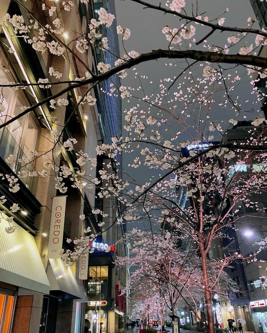 西出薫さんのインスタグラム写真 - (西出薫Instagram)「@linastoresjp  3月1日に開店したばかりのLINA STORESコレド室町 さん  窓からは桜🌸も見ることができて素敵でした☺️  #日本橋カフェ #日本橋レストラン #日本橋グルメ #コレド室町 #thankyou」3月29日 14時31分 - kaoru_nishide