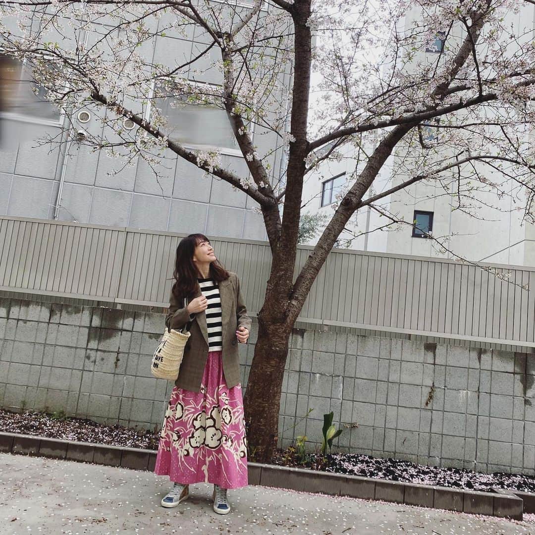 森口瑤子さんのインスタグラム写真 - (森口瑤子Instagram)「. . 1枚目は毎年友人が送って来てくれる今年の桜の写真。 美しい。たわたわですね🌸 2枚目3枚目は、昨日お仕事のスタジオの敷地にあった一本の桜。 昨日はあいにく花冷えな日でしたが、思わずパチリ。 贅沢なお花見となりました𓂃🌸𓈒𓏸 .  #母は桜が大好きでした  #俳句も作ったのでまた後日」3月29日 14時34分 - yokomoriguchi_official