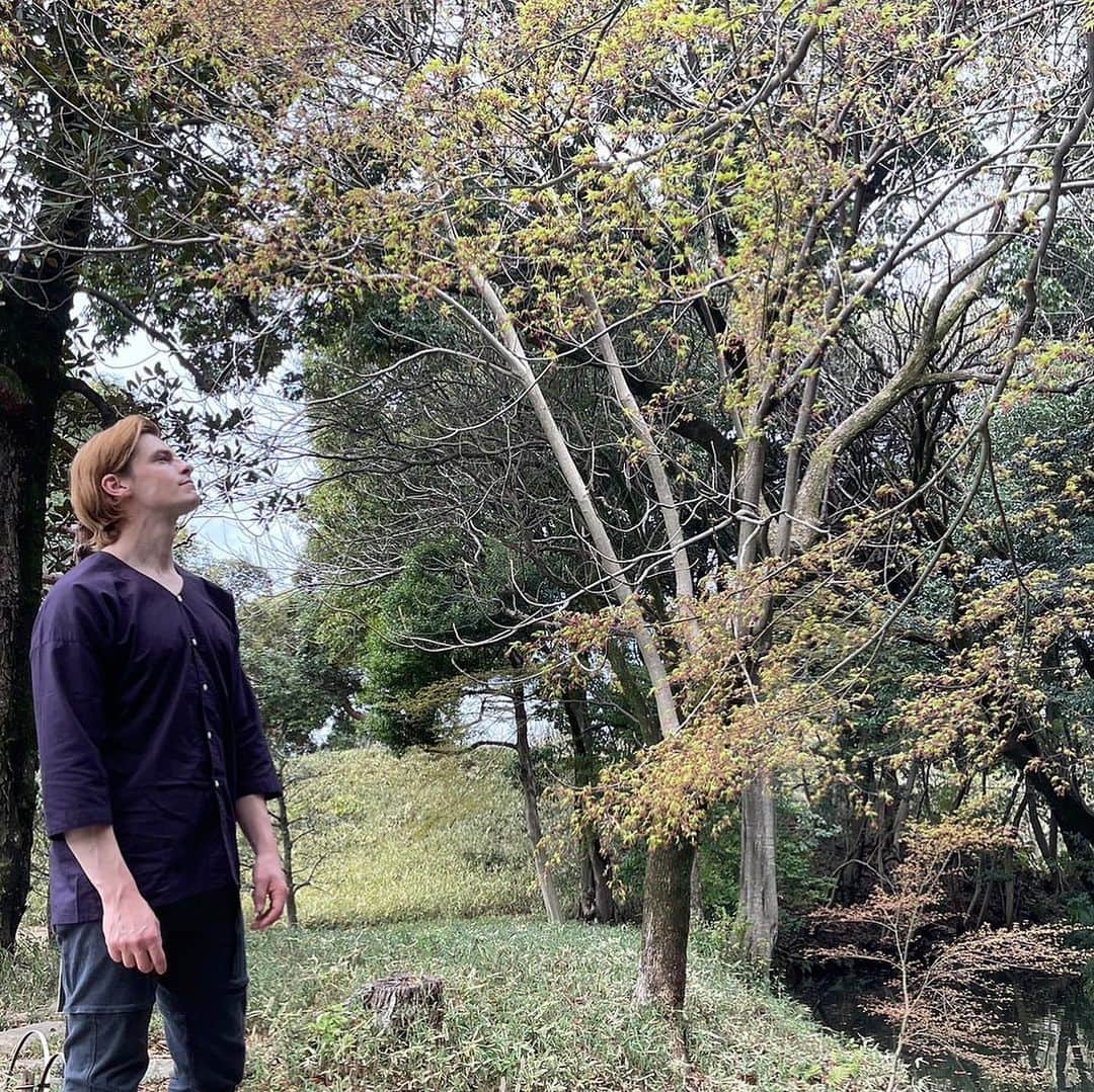 村雨辰剛さんのインスタグラム写真 - (村雨辰剛Instagram)「六義園 浜離宮の次は六義園に行ってきました！🌱 実はここも東京のど真ん中です！ これまでも何度か訪れたことがある庭園ですが、早めの春に来たのは初めてです。 訪れる季節や天気によって違った表情を見せてくれて、いつ来ても良い庭園です。木漏れ日が気持ちよく差し込む裏の六義園でモミジの新芽を見て、和みました。🌱☀️   After Hamarikyu, I headed to Rikugien. This is actually right in the middle of Tokyo！ I have visited this old garden dating back to early Edo period several times before, but this is the first time I have visited in early spring. It shows a different expression depending on the season and weather you visit. Sunshine filtering through the new maple buds was very pleasant. 🌱☀️  @tokyo_9gardens #六義園 #日本庭園 #都立庭園 #RikugienGardens #JapaneseGarden #The9TokyoMetropolitanGardens #PR」3月29日 14時40分 - tatsumasa.murasame