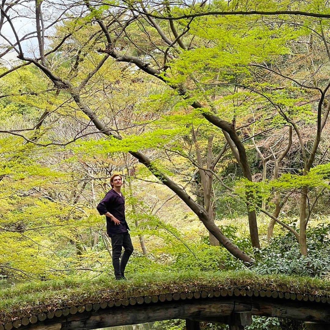 村雨辰剛のインスタグラム：「六義園 浜離宮の次は六義園に行ってきました！🌱 実はここも東京のど真ん中です！ これまでも何度か訪れたことがある庭園ですが、早めの春に来たのは初めてです。 訪れる季節や天気によって違った表情を見せてくれて、いつ来ても良い庭園です。木漏れ日が気持ちよく差し込む裏の六義園でモミジの新芽を見て、和みました。🌱☀️   After Hamarikyu, I headed to Rikugien. This is actually right in the middle of Tokyo！ I have visited this old garden dating back to early Edo period several times before, but this is the first time I have visited in early spring. It shows a different expression depending on the season and weather you visit. Sunshine filtering through the new maple buds was very pleasant. 🌱☀️  @tokyo_9gardens #六義園 #日本庭園 #都立庭園 #RikugienGardens #JapaneseGarden #The9TokyoMetropolitanGardens #PR」
