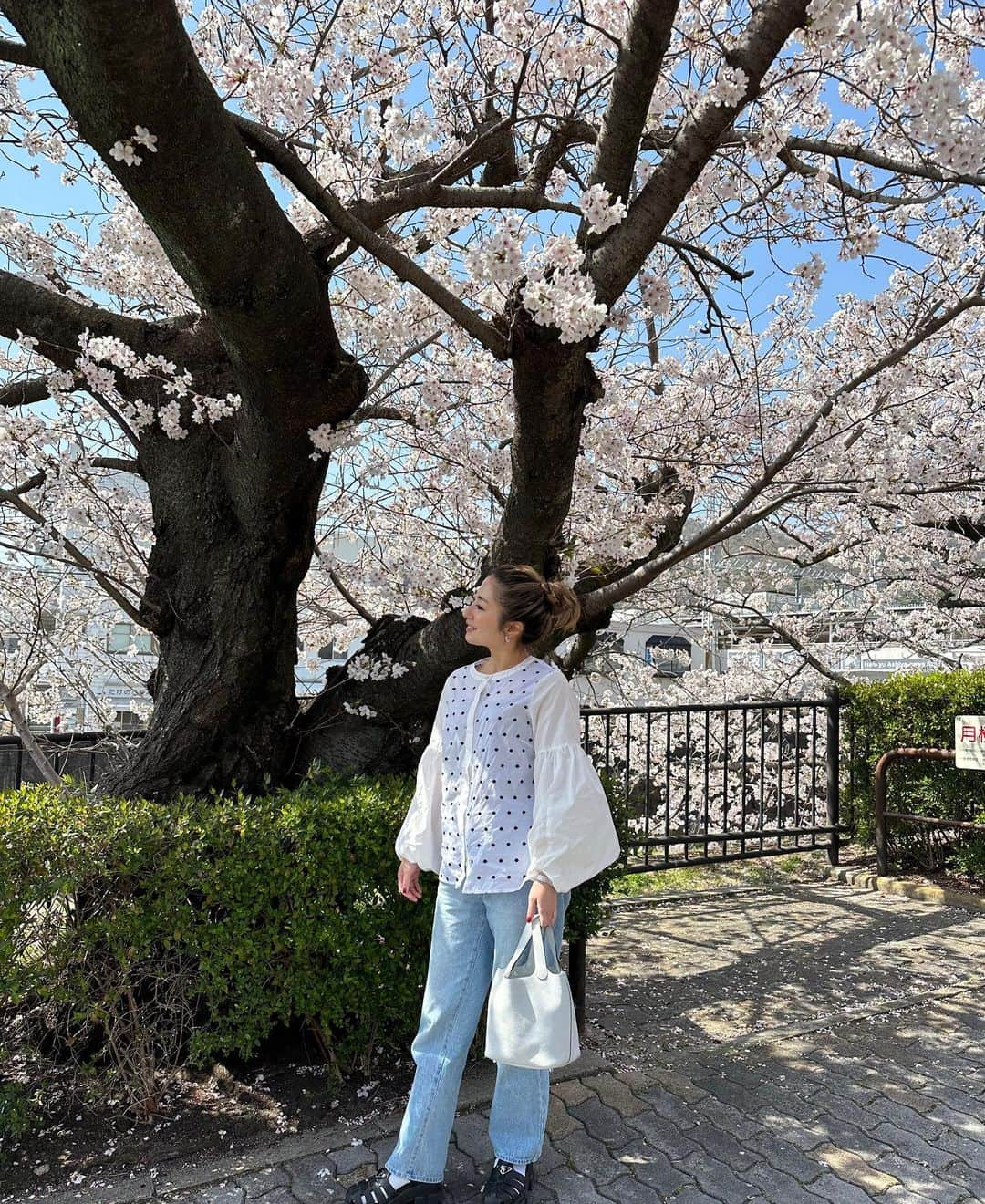 松本明子のインスタグラム：「・ あぁ桜を追いかけるのに忙し過ぎる日々🌸1年のうちでたった数日しか咲き誇らない桜は、なんて儚いのでしょう🌸もはやその潔さがかっこいいです🌸 今日は子供達とデニムと白トップスでリンクさせました👧🏽👦🏽 私のブラウスは @myine_my 。甘過ぎないドットが好みです♡♡ ・ #myine_my  #153cmコーデ #sサイズコーデ #低身長コーデ#fashion #outfit #ootd #cordinate #simple #mamafashion #sサイズコーデ #シンプルコーデ #ファッション　#コーディネート#ママコーデ #ハイトーンカラー #ハイトーン#カジュアルコーデ #大人シンプル #30代ファッション#全身コーデ#着回しコーデ#ドット#ドットブラウス #お花見 #お花見コーデ #hermes#prada」