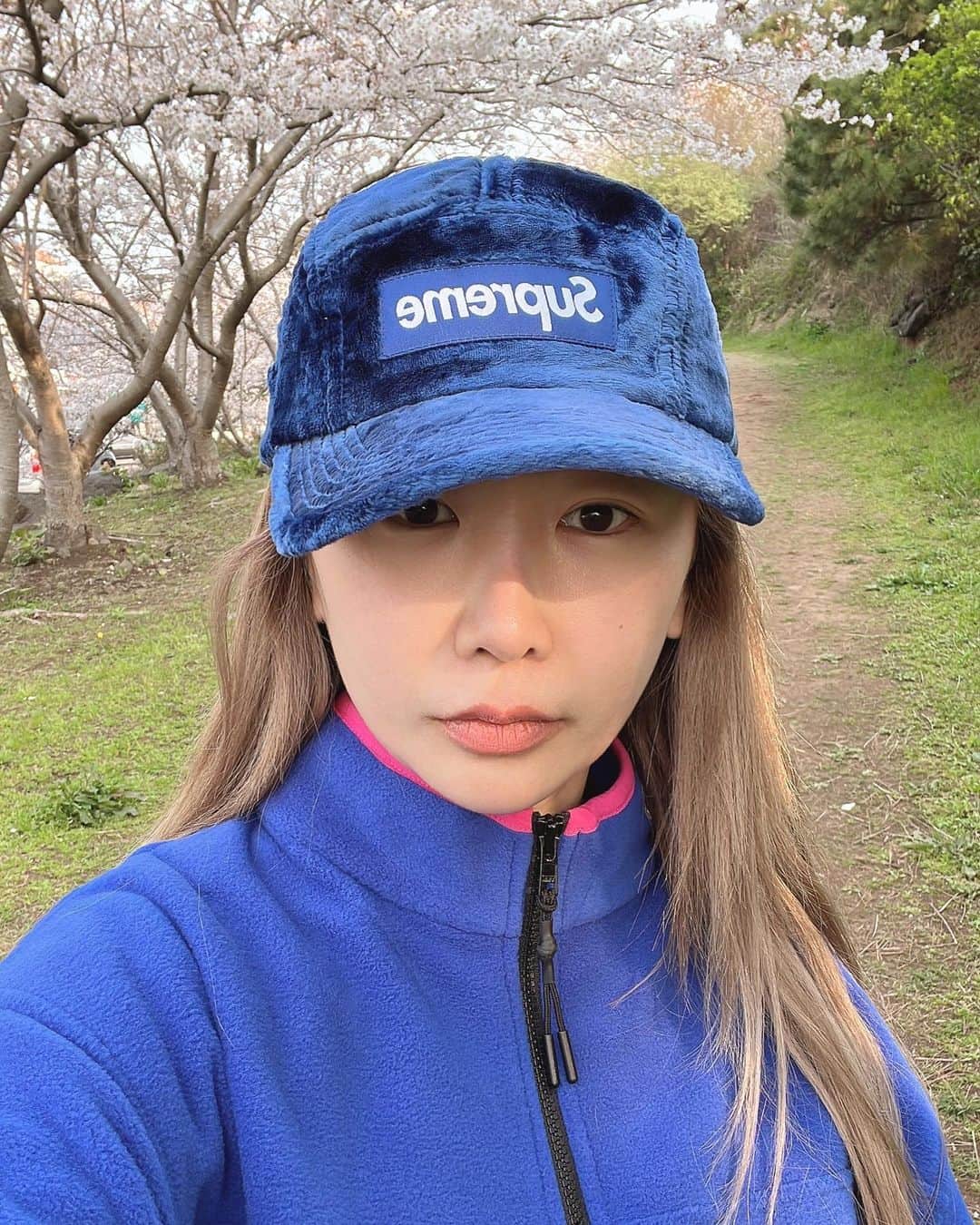 ジェアのインスタグラム：「제주도는 온통 벚꽃🤍」