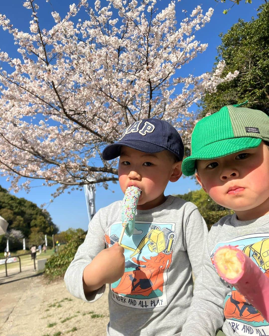 右手愛美のインスタグラム：「小牧山の桜、満開です☺️🌸🌸🌸 #愛知県 #小牧市 #桜」