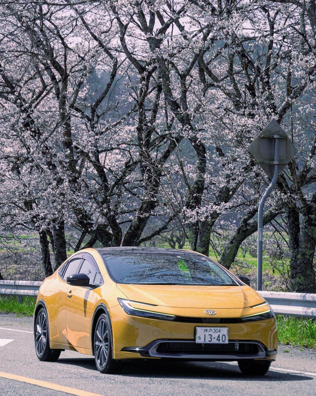 兵庫トヨタさんのインスタグラム写真 - (兵庫トヨタInstagram)「【桜の季節ですね】 兵庫県県内各地で桜が見ごろになってきました。兵庫トヨタでは現在、新型プリウスと県内の桜の名所をフィーチャーしたオリジナルムービーを撮影中です。公開は4月上旬予定です。ご期待ください。  #prius #桜 #cherryblossom #toyota #トヨタ #プリウス #兵庫トヨタ」3月29日 15時40分 - hyogo.toyota