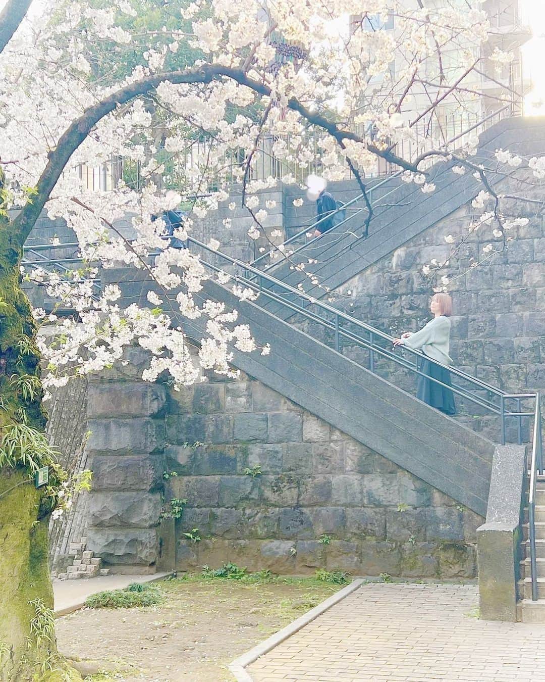 兼田恵さんのインスタグラム写真 - (兼田恵Instagram)「photo by @ji_ji_jo ✨  先日あかねさんの撮影のお手伝いという名目でふらりと花見に行ったのだけど少しだけ撮っていただきました🙏✨」3月29日 15時51分 - earl_megu