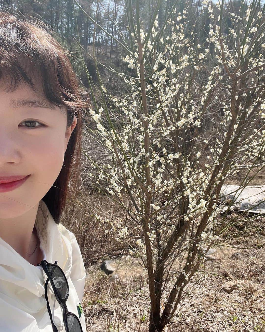 ハン・ソナのインスタグラム：「봄🌼🌸만나 봄. 걷고싶🏃‍♀️#지난」