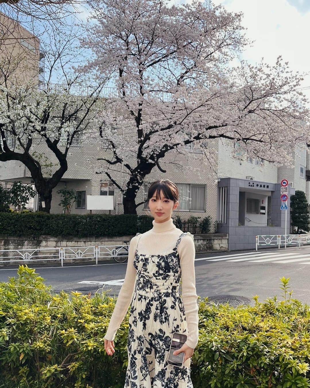 飯島望未さんのインスタグラム写真 - (飯島望未Instagram)「毎年咲くのに 待ち焦がれる気持ちと 潔く散る儚い命でいつまでも人々を 魅了し続ける桜。  桜のような蝶々さんになれたらいいなぁ。」3月29日 16時55分 - nozo0806