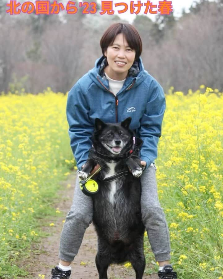 業務田スー子のインスタグラム