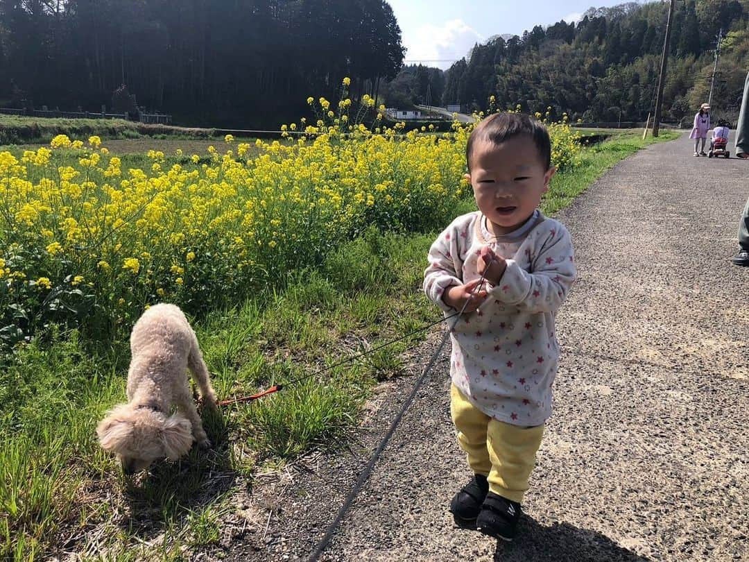 江原千鶴（エハラチヅル）さんのインスタグラム写真 - (江原千鶴（エハラチヅル）Instagram)「春休み、1年ぶりに大分の実家へ🌸 やっぱり安心するなぁ〜☺️  飛行機が高くなったと思ったら、飛行機は小学生でも12歳から大人料金なんだね‼️  今日は臼杵の公園で草すべりして、みそソフトクリームを食べました🍦  三姉妹は妹ファミリーに福岡に連れて行ってもらってて、かなり楽しんでるみたい❣️  #実家#大分市#春休み#帰省中」3月29日 17時08分 - eharachizuru