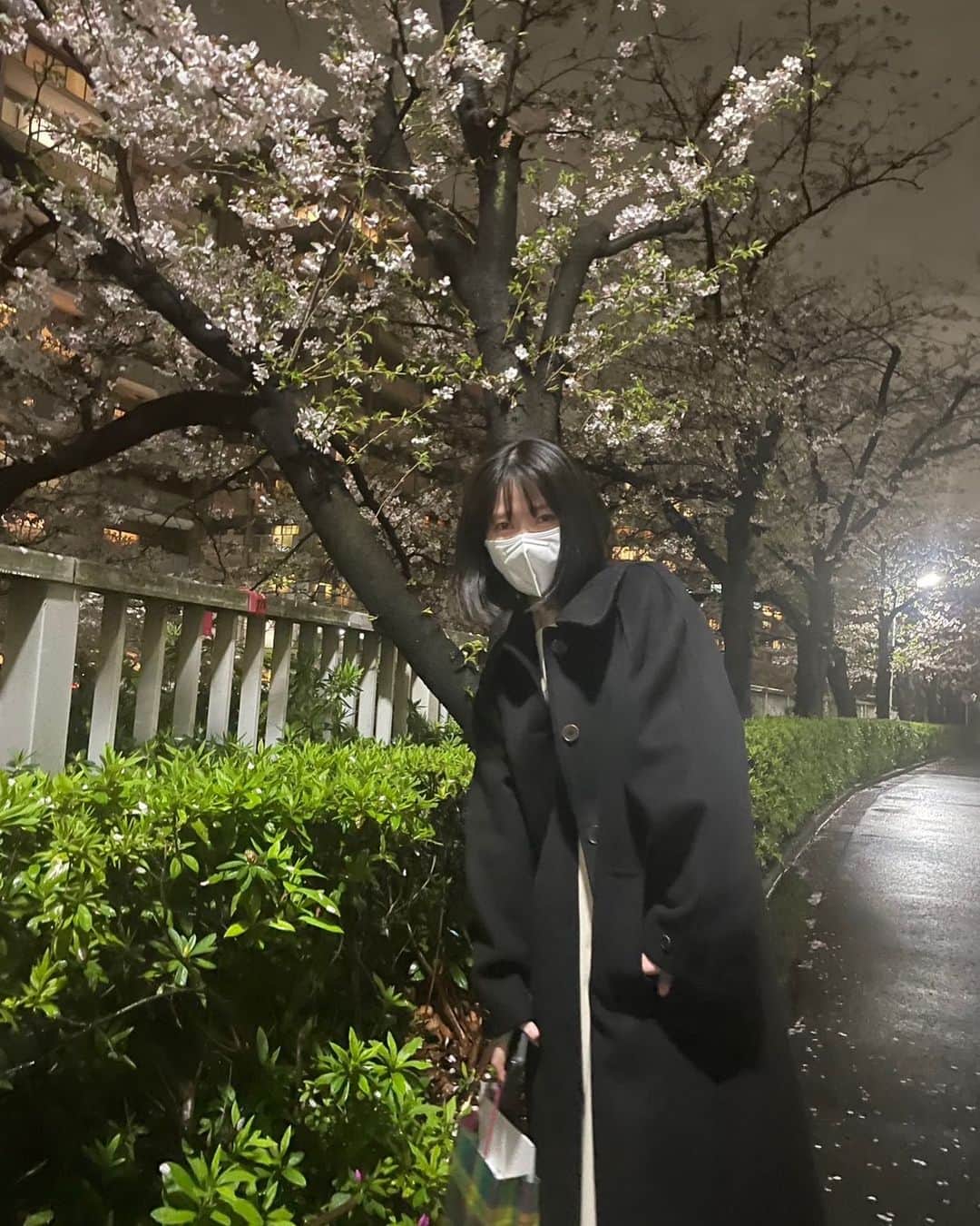 横山由依さんのインスタグラム写真 - (横山由依Instagram)「雨の日が続いていますが、 桜は綺麗に咲いてくれていますね😌🌸」3月29日 22時37分 - yokoyamayui_1208