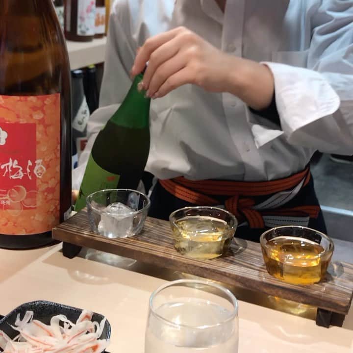 佐々木みえのインスタグラム：「@umetohachi  梅酒飲みに行ってきたよー！  梅酒選ぶの難しすぎるくらい 種類がたくさん(^^) サザエさんやカープ坊やのラベル発見！！！🤣笑笑 オリジナル梅酒は青くてキラキラ🤩 料理 も梅がチラホラ スライストマトに🍅梅の胡麻がかかってた。ちょっとピンクな胡麻。 パスタは梅こぶペペロンチーノ。  わたしはもっと味は濃いめが好みかな。 でも美味しかった^ ^  #天満飲み  #天満グルメ  #woomypr   #梅 #梅酒 #飲み比べ #お酒好き #酒好き #飲み過ぎ #飲酒タグラム #お料理 #季節 #コース #女子会 #dinner #instagood」