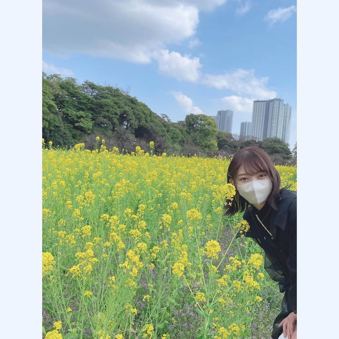 辻野かなみのインスタグラム：「❤︎  ⁡ 菜の花♪ ⁡ 街中は、桜のピンクや菜の花の黄色で綺麗ですね☺️ ⁡ 気分上がる🫶🏻 ⁡  #辻野かなみ　#かなみん　#超ときめき宣伝部 #超とき宣　#アイドル　#𝖨𝖣𝖮𝖫 #𝗂𝗇𝗌𝗍𝖺𝗀𝗈𝗈𝖽 #𝗂𝗇𝗌𝗍𝖺𝗅𝗂𝗄𝖾 #𝖿𝗈𝗅𝗅𝗈𝗐𝗆𝖾 #𝗅𝗈𝗏𝖾 #데일리룩　#데일리룩코디　#패션	#오오티디 #데일리　#좋아요　#팔로우」