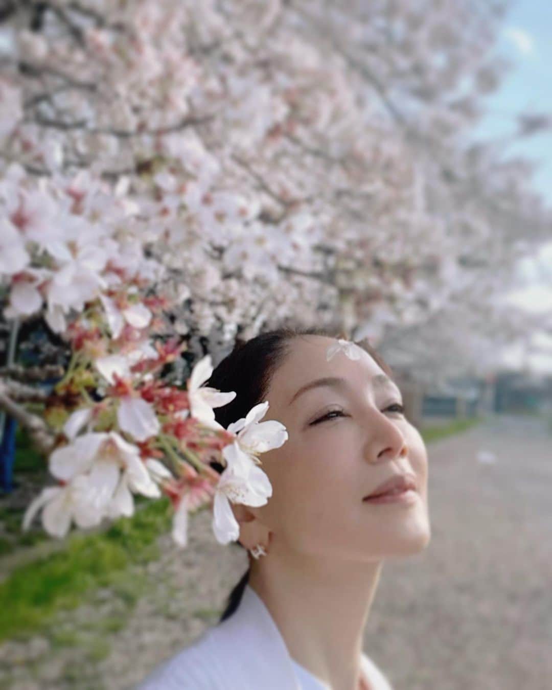 坂村かおるさんのインスタグラム写真 - (坂村かおるInstagram)「ここは、大好きな場所🌸 ・ 桜と菜の花のコントラストが素晴らしいので毎年、ここへは訪れる‥ ・ 今年は桜の方が早かったのか、菜の花の方が少なめだった💦 ・ 風が吹くたびに花びらを散らす‥ ・ 咲きながら散って行く‥ ・ 桜でしかない、桜でしか生きない ・ そんな様を見るのが、とても好きだ。 ・ ・  いつも「いいね！」を頂きありがとうございます！ 皆さんのコメントに元気を貰っています😊 #クィーンオブ美魔女 #team美魔女 #美ST #坂村かおる #トータルビューティーアドバイザー #美しく老いる #バランス #美容 #コスメ #ファッション #今日のコーデ #トータルバランス #お洒落な人と繋がりたい #コスメ好きな人と繋がりたい #美意識高い人と繋がりたい #美魔女 #美魔女が変わる #アップデートしてる人と繋がりたい #自分らしくアップデート #さくら  #さくらとなのはな  #私の好きな」3月29日 17時15分 - kaoru.sakamura