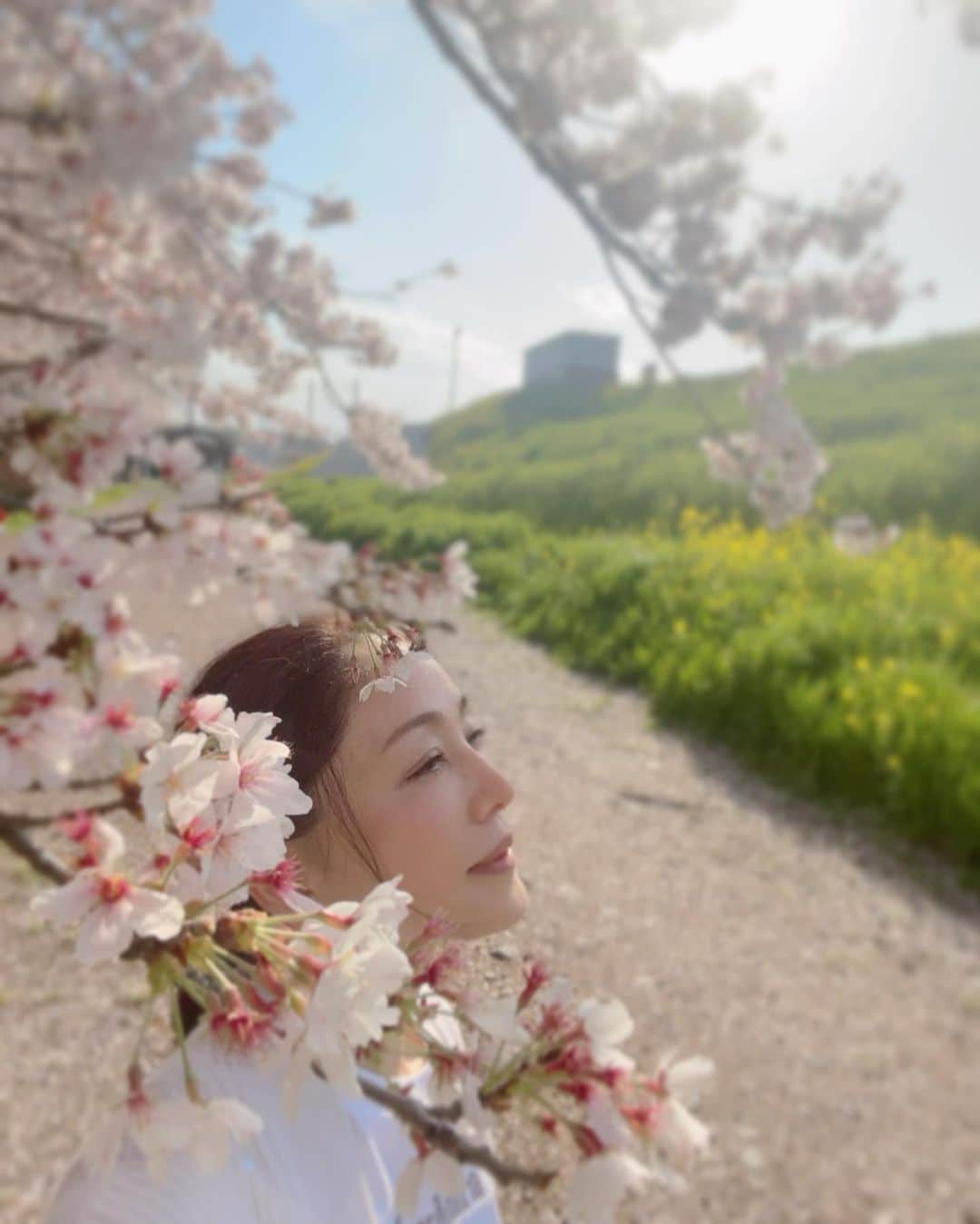 坂村かおるさんのインスタグラム写真 - (坂村かおるInstagram)「ここは、大好きな場所🌸 ・ 桜と菜の花のコントラストが素晴らしいので毎年、ここへは訪れる‥ ・ 今年は桜の方が早かったのか、菜の花の方が少なめだった💦 ・ 風が吹くたびに花びらを散らす‥ ・ 咲きながら散って行く‥ ・ 桜でしかない、桜でしか生きない ・ そんな様を見るのが、とても好きだ。 ・ ・  いつも「いいね！」を頂きありがとうございます！ 皆さんのコメントに元気を貰っています😊 #クィーンオブ美魔女 #team美魔女 #美ST #坂村かおる #トータルビューティーアドバイザー #美しく老いる #バランス #美容 #コスメ #ファッション #今日のコーデ #トータルバランス #お洒落な人と繋がりたい #コスメ好きな人と繋がりたい #美意識高い人と繋がりたい #美魔女 #美魔女が変わる #アップデートしてる人と繋がりたい #自分らしくアップデート #さくら  #さくらとなのはな  #私の好きな」3月29日 17時15分 - kaoru.sakamura