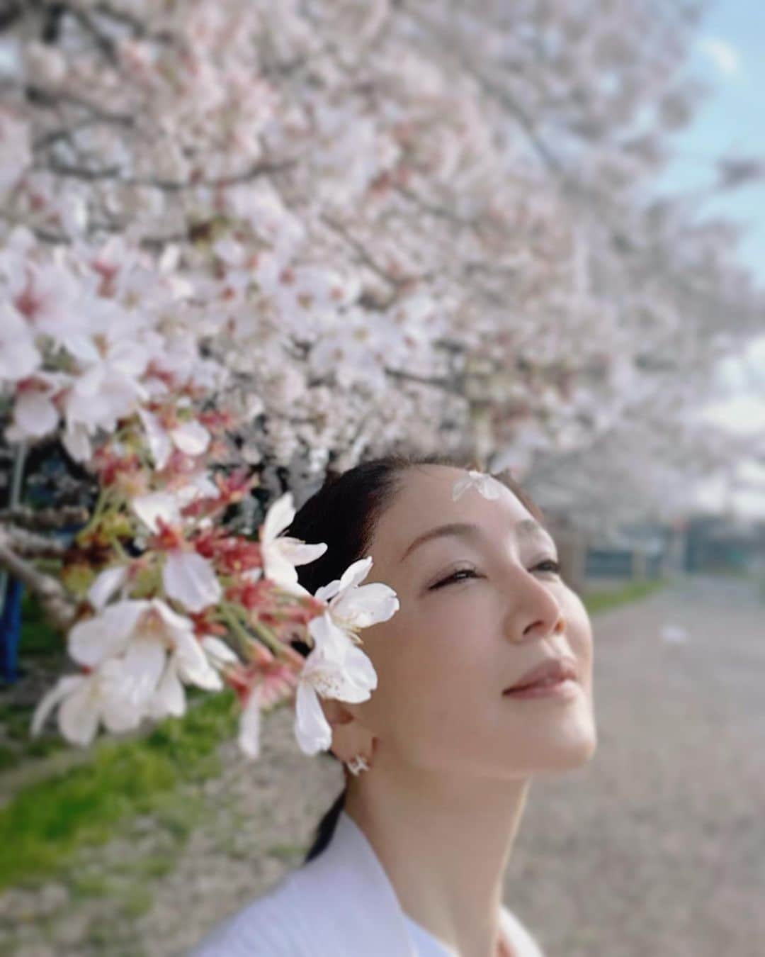 坂村かおるのインスタグラム：「ここは、大好きな場所🌸 ・ 桜と菜の花のコントラストが素晴らしいので毎年、ここへは訪れる‥ ・ 今年は桜の方が早かったのか、菜の花の方が少なめだった💦 ・ 風が吹くたびに花びらを散らす‥ ・ 咲きながら散って行く‥ ・ 桜でしかない、桜でしか生きない ・ そんな様を見るのが、とても好きだ。 ・ ・  いつも「いいね！」を頂きありがとうございます！ 皆さんのコメントに元気を貰っています😊 #クィーンオブ美魔女 #team美魔女 #美ST #坂村かおる #トータルビューティーアドバイザー #美しく老いる #バランス #美容 #コスメ #ファッション #今日のコーデ #トータルバランス #お洒落な人と繋がりたい #コスメ好きな人と繋がりたい #美意識高い人と繋がりたい #美魔女 #美魔女が変わる #アップデートしてる人と繋がりたい #自分らしくアップデート #さくら  #さくらとなのはな  #私の好きな」