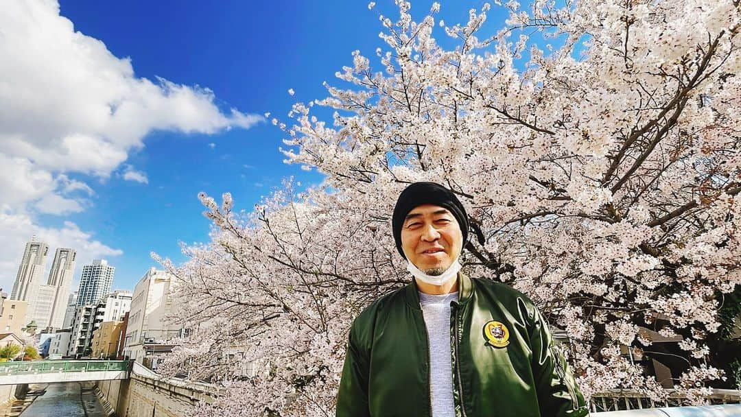 ワッキーさんのインスタグラム写真 - (ワッキーInstagram)「桜が綺麗ですばい^_^ #桜　#おじさん #おじさん桜男」3月29日 17時17分 - japan_wacky