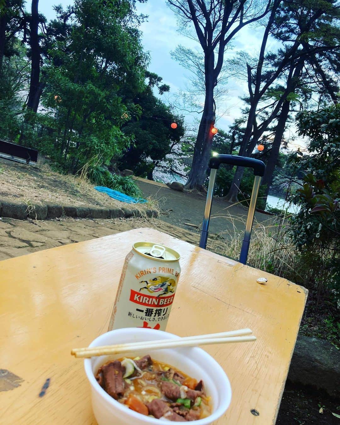 本田毅さんのインスタグラム写真 - (本田毅Instagram)「煮込みとビールで束の間の花見🌸」3月29日 17時30分 - efg_takeshi_honda