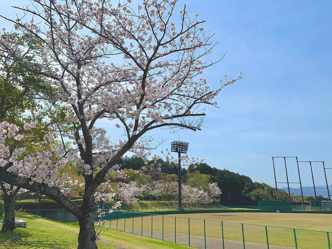 上杉あずさのインスタグラム