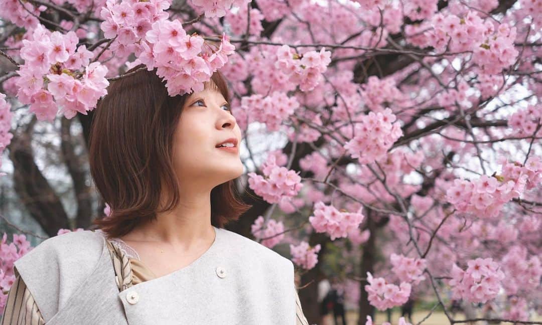 太田奈緒さんのインスタグラム写真 - (太田奈緒Instagram)「🌸  東京は葉桜が増えてきたので急いで投稿︎です🏃」3月29日 17時34分 - tanao_official