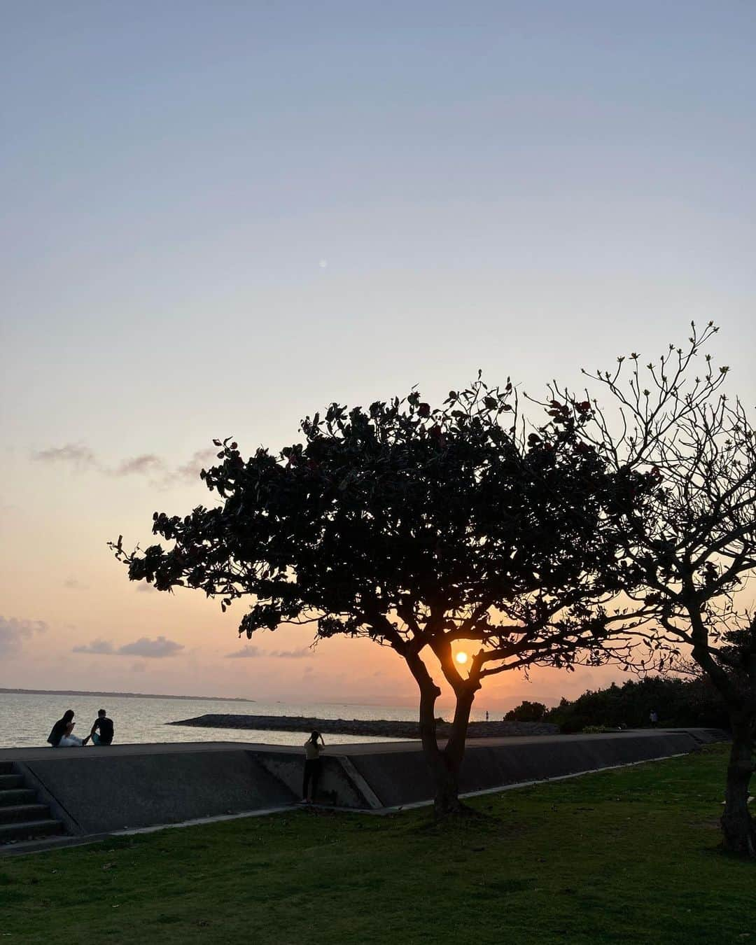 寺島速人のインスタグラム：「舟蔵公園はハワイみたいだからハワイ公園って呼んでる。 #石垣島 #舟蔵公園」