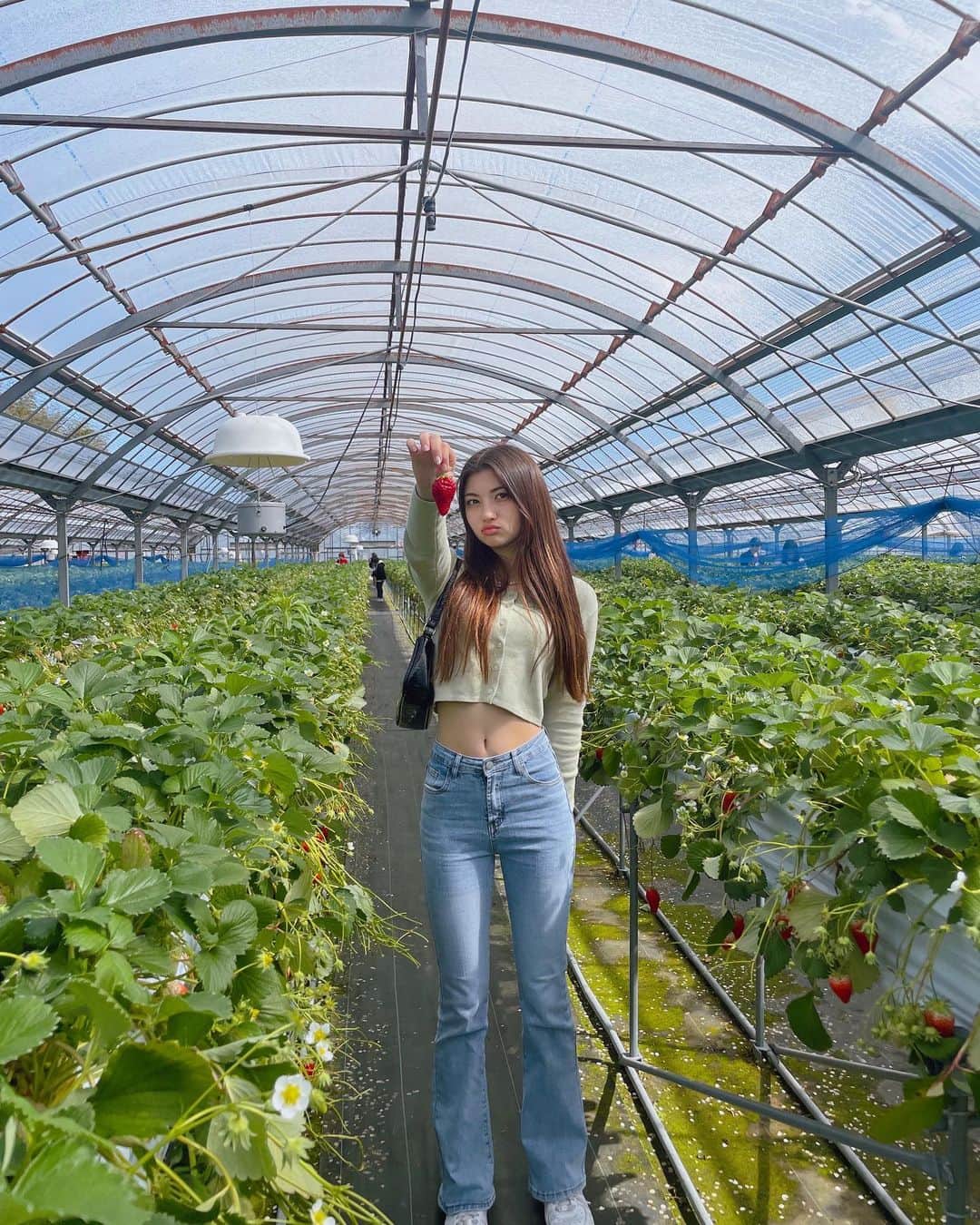 lilliakarina りりあさんのインスタグラム写真 - (りりあInstagram)「sᴛʀᴀᴡʙᴇʀʀʏ🍓 #ᴏᴏᴛᴅ ᴏɴ sʜᴇɪɴ ᴛᴏᴘs: ɪᴅ  10834706 ʙᴏᴛᴛᴏᴍs: ɪᴅ 3110901 割引クーポン番号：Lillia 1～5,999円 15%ᴏғғ 6,000円以上  20%ᴏғғ 利用期限：6月末日 #いちご #いちご狩り #strawberry ...