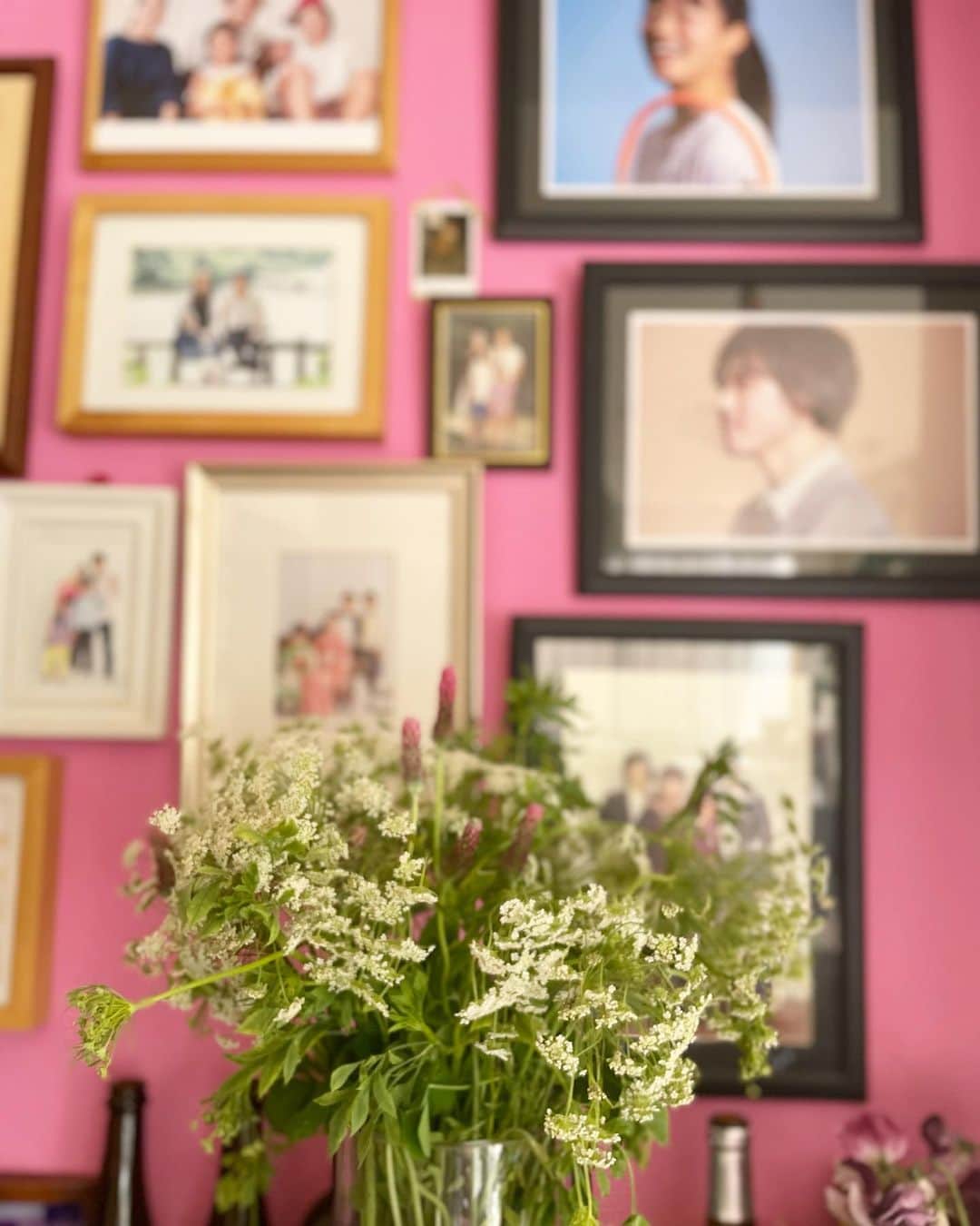 黄川田としえのインスタグラム：「家族写真と植物。  #totto__life #flowers #family」