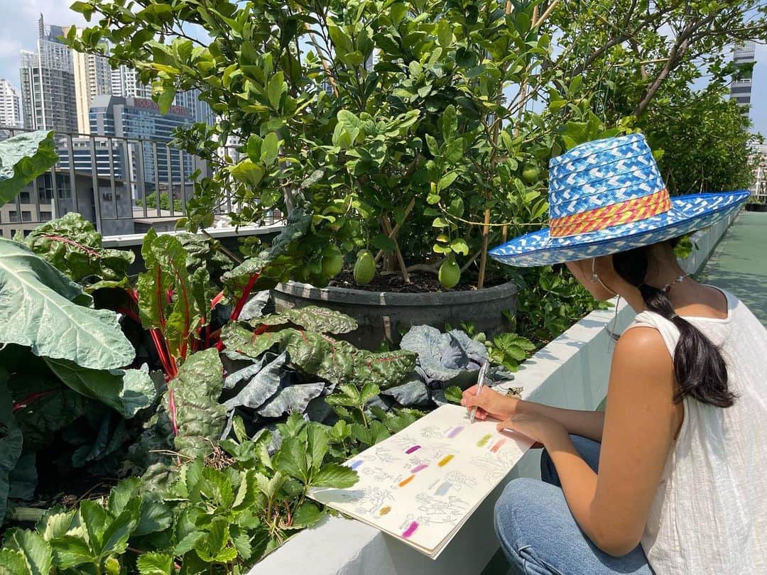のインスタグラム：「บันทึกธรรมชาติ-ดาดฟ้ากรุงเทพมหานคร 🏢🌳  ชวนน้องแซน @sandsuwanya มาเก็บข้อมูลพืชให้สีในช่วงฤดูร้อน ได้พบว่ามีสีน่ารักๆจากดอกไม้และใบไม้บนสวนลอยฟ้าเยอะแยะเลย 🥰 สกัดสี วาดรูป สนุกสนาน อยู่บนดาดฟ้าทั้งวันจนลืมร้อน ลืมแดด และช่วงสิ้นปีเมื่ออากาศเย็นสบาย พวกเราจะจัด workshop ถอดกระบวนการห้องเรียนธรรมชาติในเมือง ใครสนใจฝากติดตามค่า 🌼🍓😘 #pearypieskygarden」