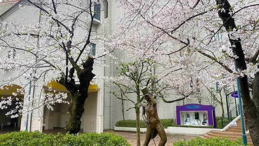 綺華れいさんのインスタグラム写真 - (綺華れいInstagram)「鳴海じゅん・綺華れい オーラレッスンの生徒さん達から合格の嬉しいお知らせ‼️おめでとう😄🙌✨  晴れやかな青空と、 満開の桜の中、 合格された111期生の皆さんおめでとうございます🌸  諏訪あい先生と😄💖   #宝塚音楽学校  #合格発表  #タカラジェンヌ  #宝塚受験  #111期 shiningstars.jp」3月29日 18時11分 - rei_ayaka