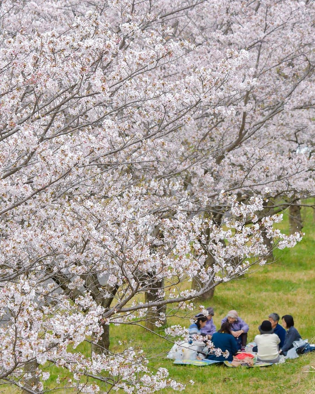 平塚市のインスタグラム