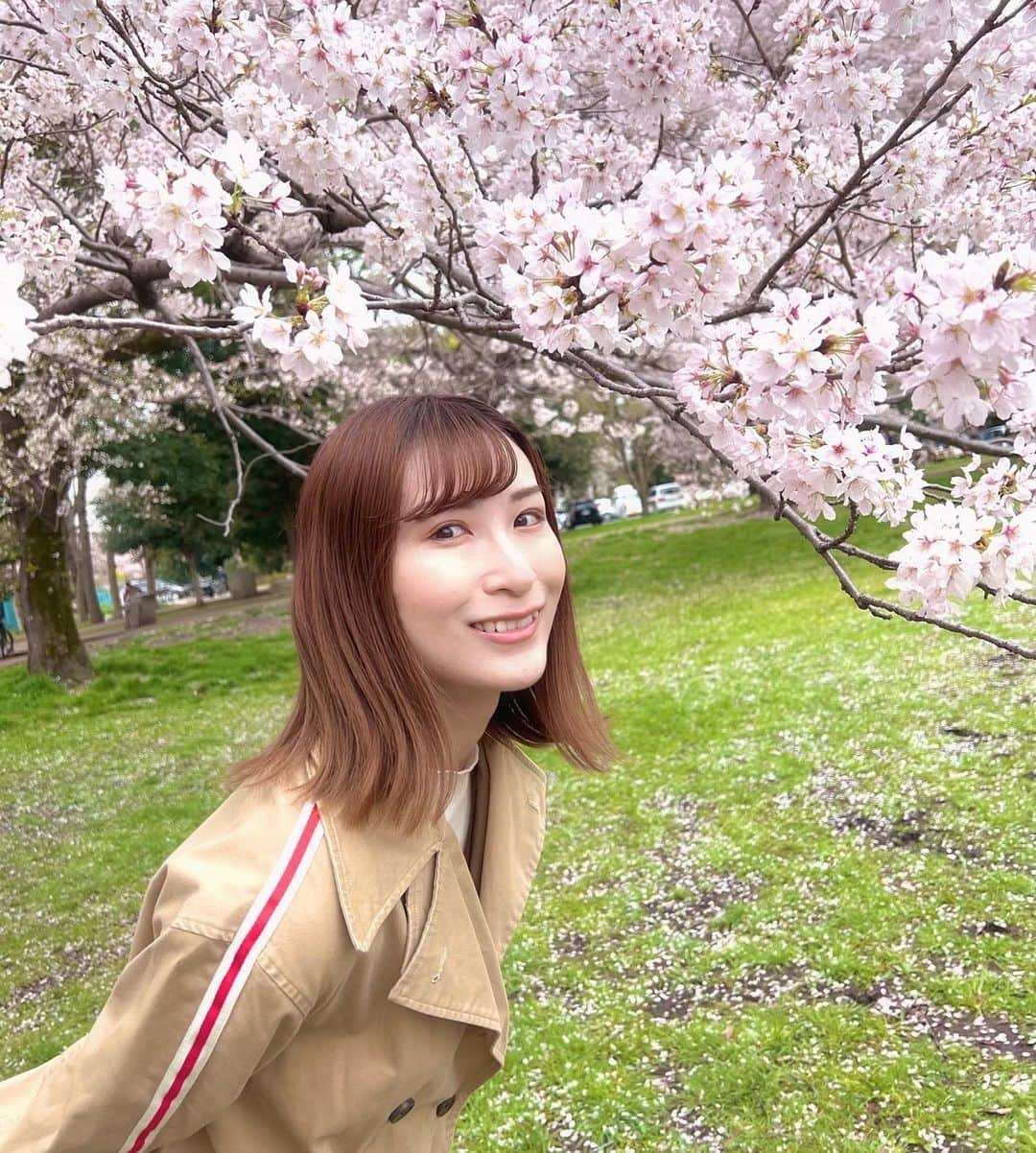 颯希有翔のインスタグラム：「🌸🌸🌸  Beautiful…🌸💕  #桜 #お花見  #宝塚歌劇団 #宝塚og  #月組」