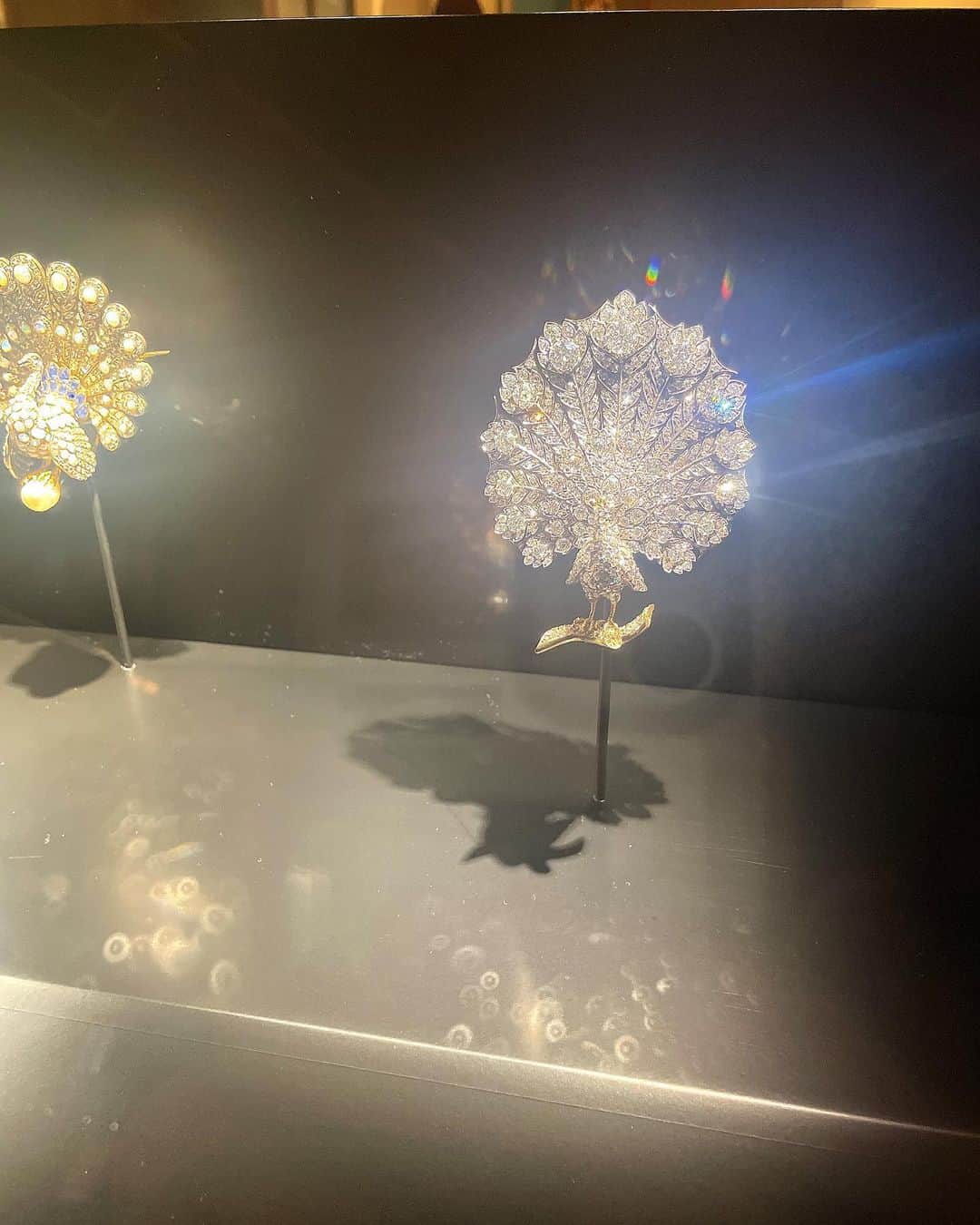 理絵さんのインスタグラム写真 - (理絵Instagram)「インターメディアテク開館十周年記念特別展示『極楽鳥』  なんだか上手く撮れない...キラキラ輝きが凄すぎて私のスマホがやる気をなくしました💎  主催： 東京大学総合研究博物館＋レコール ジュエリーと宝飾芸術の学校 協力： 山階鳥類研究所 協賛：ヴァン クリーフ＆アーペル  #インターメディアテク #intermediatheque #ヴァンクリーフアーペル #博物館 #東京大学 #kitte #ジュエリー #宝石 #理絵アート #rie_love_art」3月30日 11時30分 - ____rie____